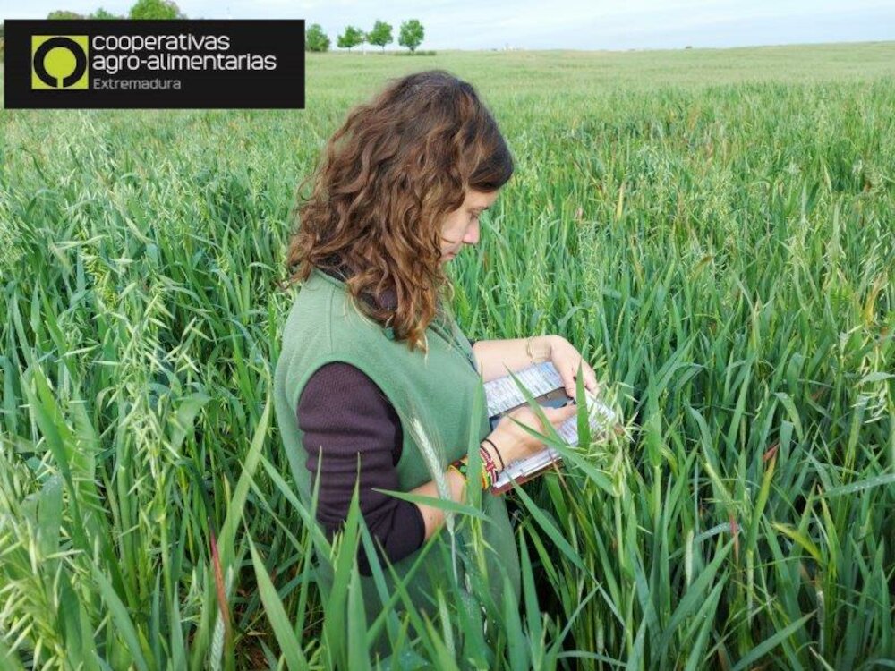 En marcha un plan para impulsar la participación activa de mujeres en órganos de gestión de cooperativas agroalimentarias de Extremadura