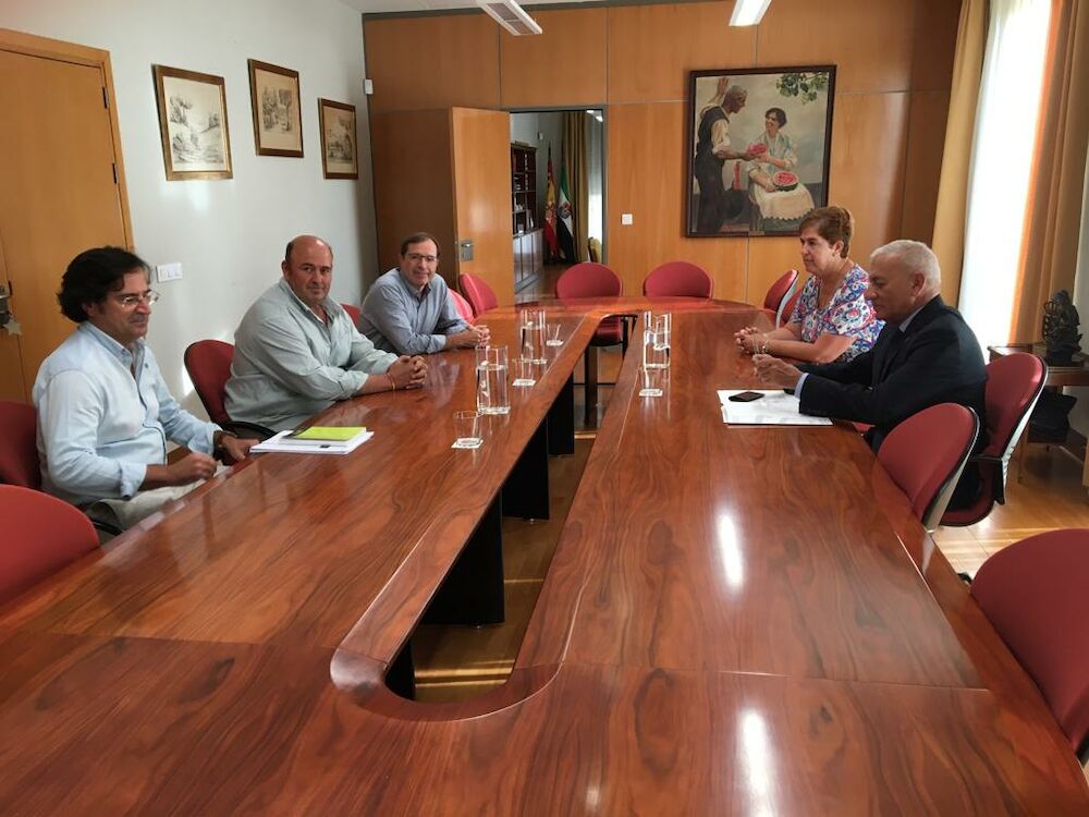 Cooperativas Extremadura pide la aplicación de sanciones contundentes para evitar robos de aceitunas en explotaciones y cooperativas