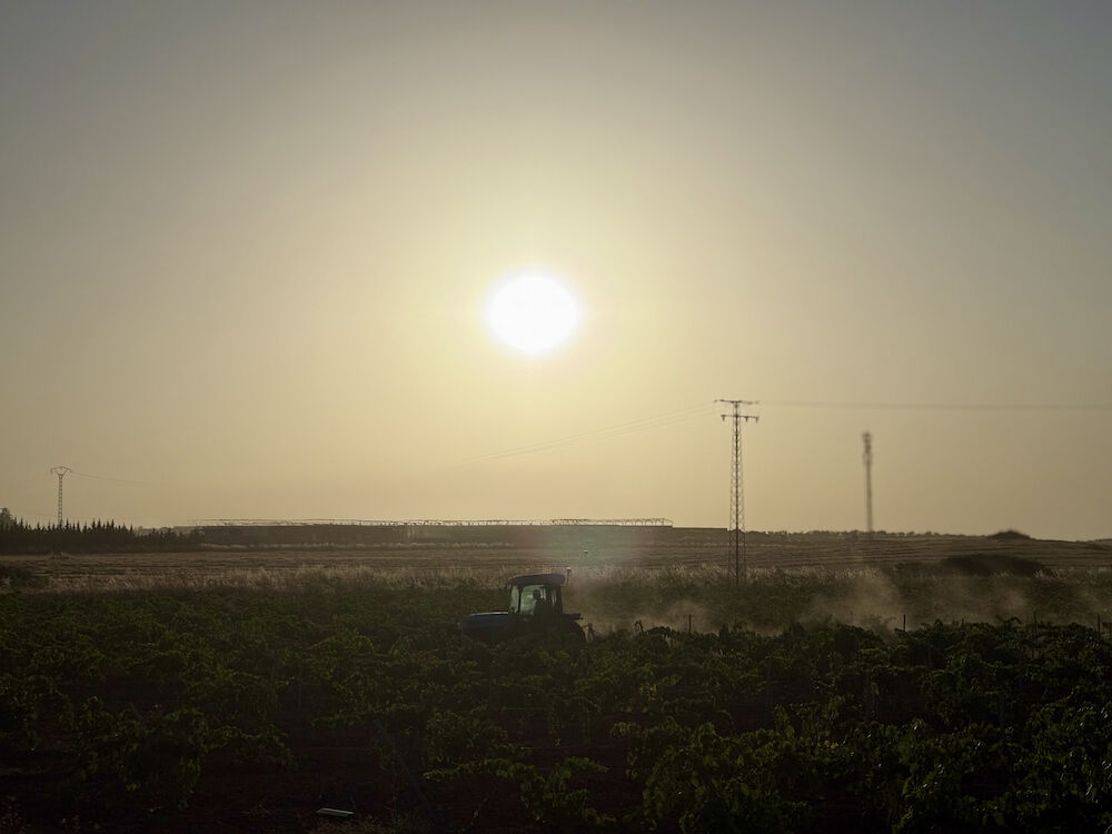 El campo extremeño gana fuerza con el innovador proyecto de ahorro energético del grupo cooperativo Viñaoliva