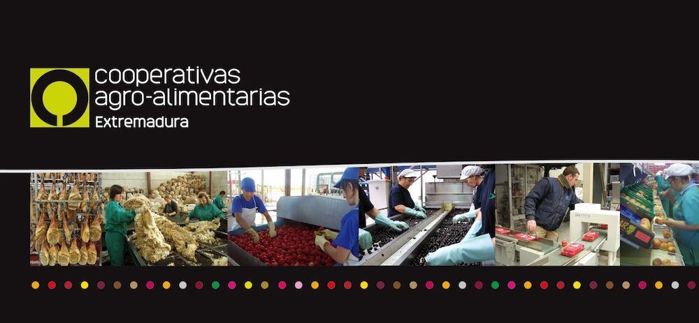 Las cooperativas son el motor económico de Extremadura