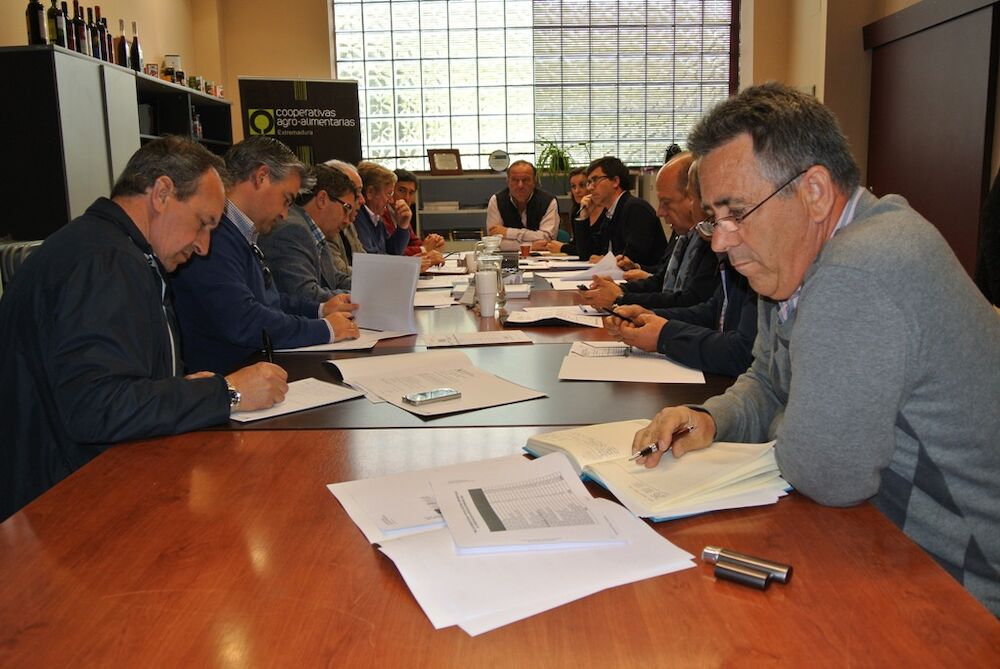 Cooperativas Agro-alimentarias Extremadura elige a los presidentes de sus sectoriales agroganaderas 