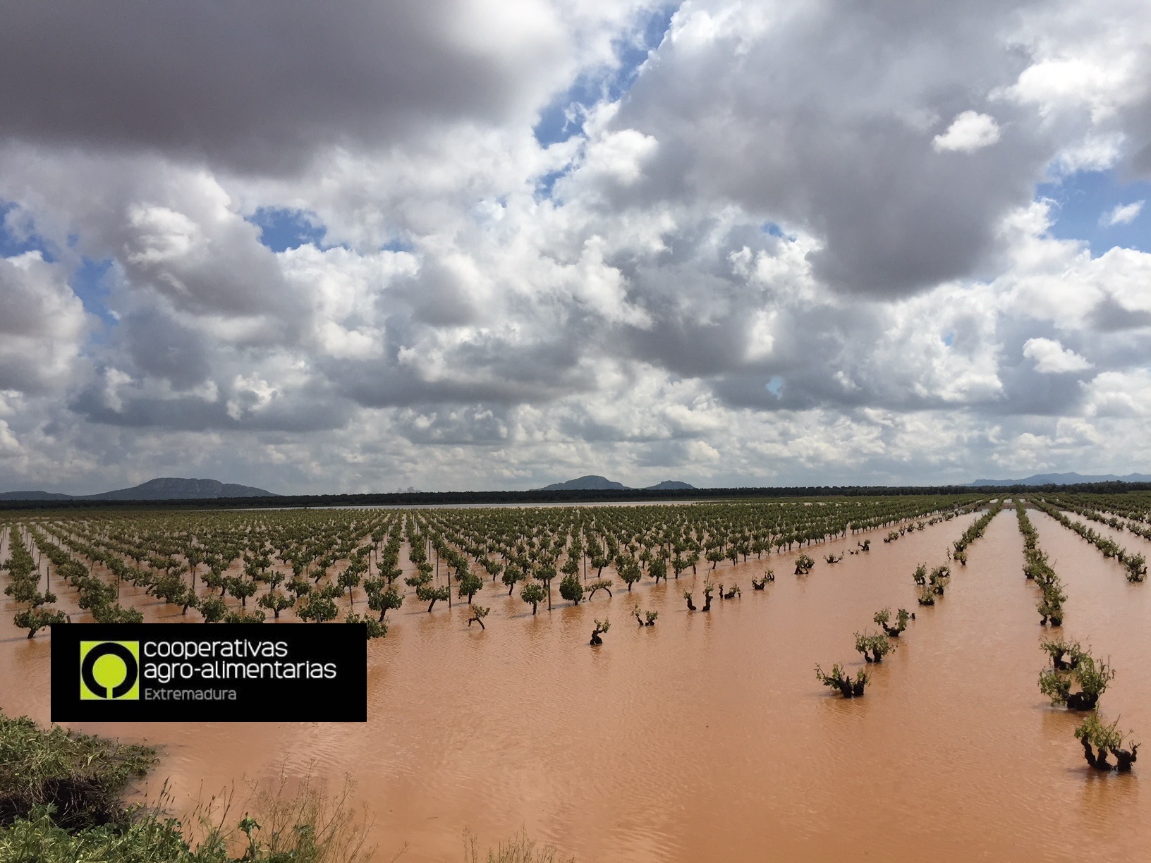 seguros agrarios siniestro 2018