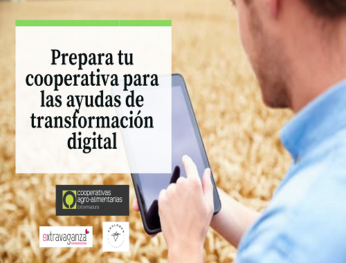 Digitalización cooperativas