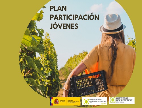 Plan participación jóvenes