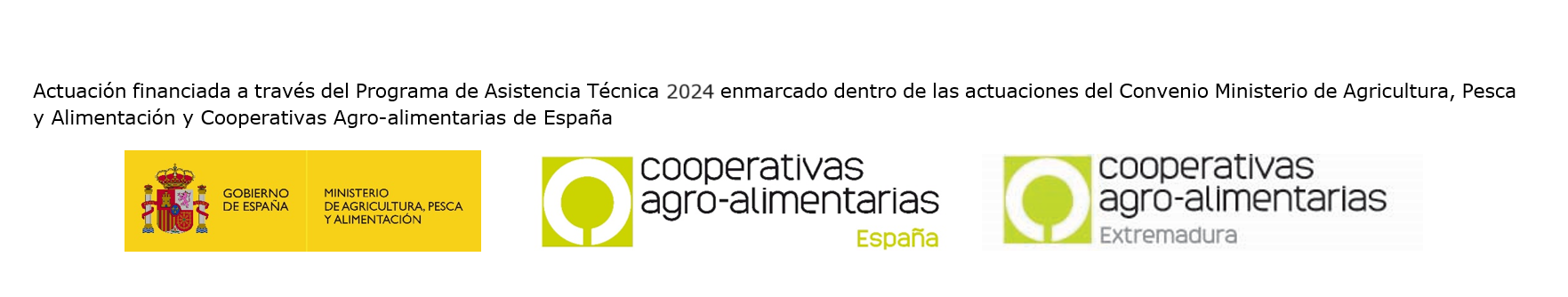 asistencia técnica 2024